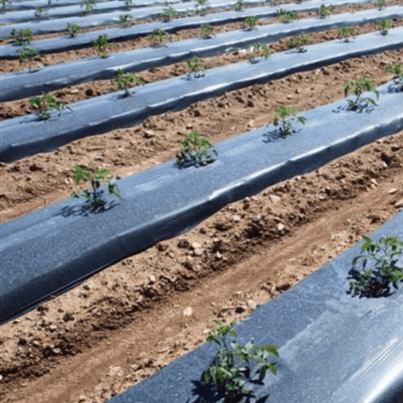 ΓΕΩΡΓΙΚΑ ΠΛΑΣΤΙΚΑ & ΣΧΕΤΙΚΑ