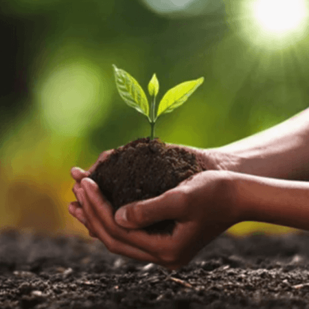 ΒΙΟΛΟΓΙΚΑ ΠΡΟΪΟΝΤΑ