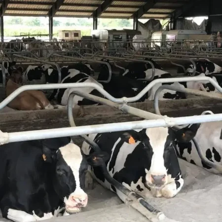 ΕΙΔΗ ΖΩΟΤΕΧΝΙΑΣ