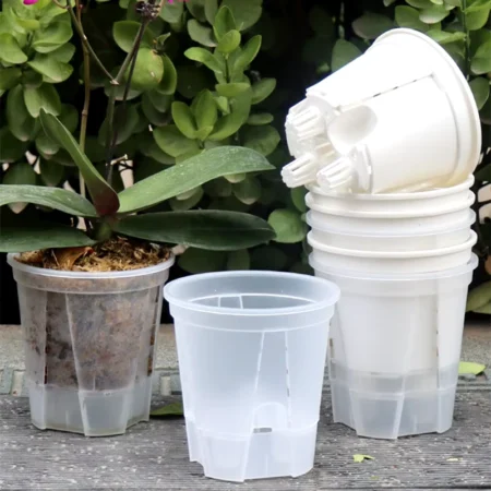 ΕΙΔΗ ΦΥΤΩΡΙΟΥ & ΡΙΖΩΤΗΡΙΟΥ