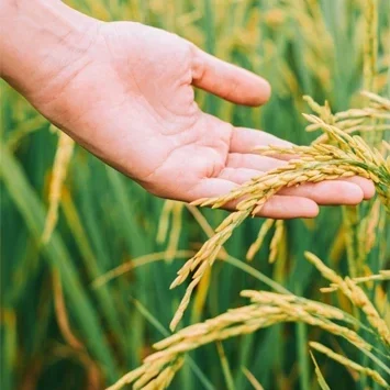 ΦΥΤΟΠΡΟΣΤΑΣΙΑ