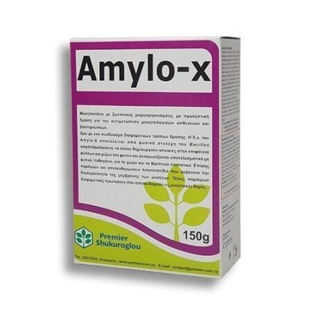 AMYLO-X