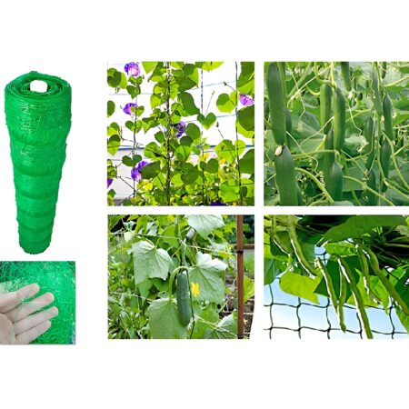 ΔΙΧΤΥ ΑΝΑΡΡΙΧΗΣΗΣ ΦΥΤΩΝ