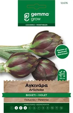 Αγκινάρα βιολετί