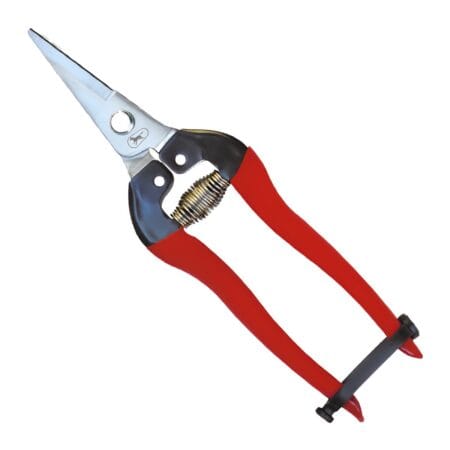FRUIT PRUNING SHEARS