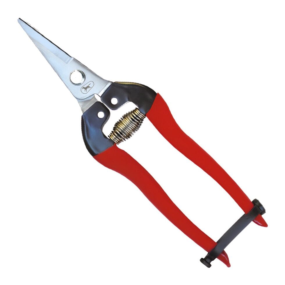 FRUIT PRUNING SHEARS