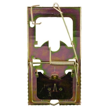 ΠΟΝΤΙΚΟΠΑΓΙΔΑ ΧΡΥΣΗ 17 Χ 9CM