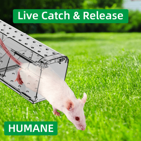 HUMANE MOUSE TRAP